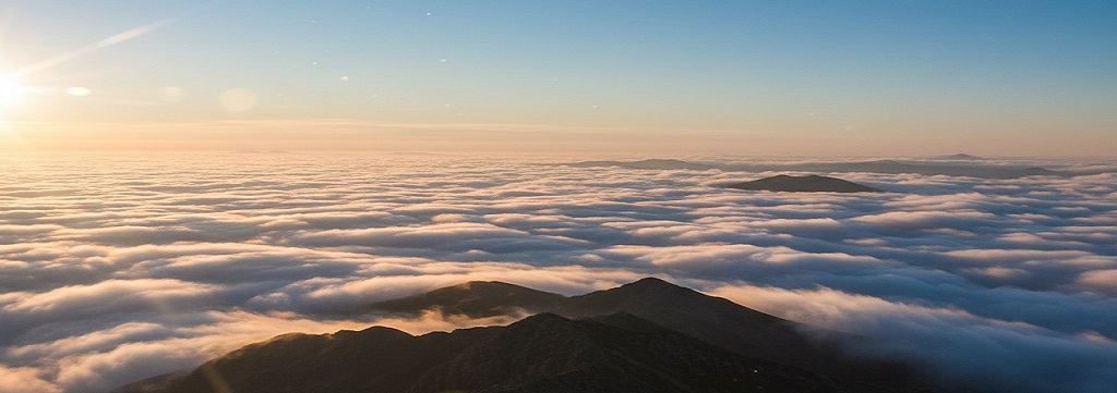 株式会社海安 神奈川県川崎市